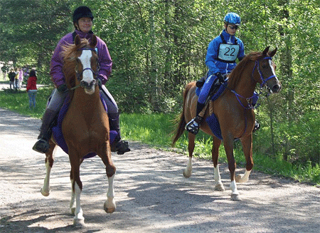 Gimmick A9-ritten