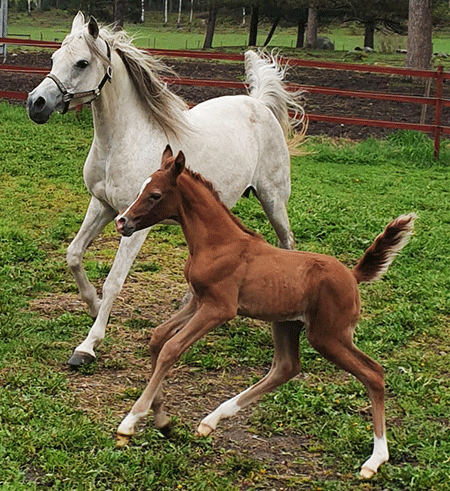 Indian Priyah & GKV Pounds of Fun