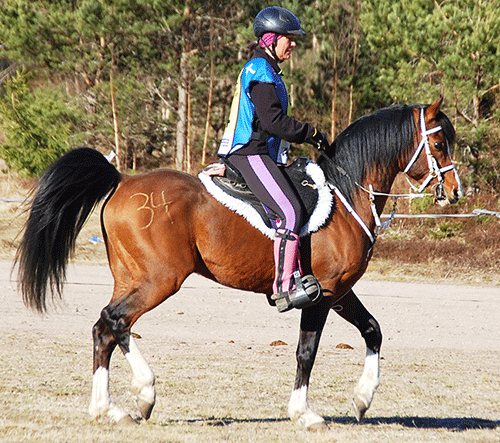 Dandini