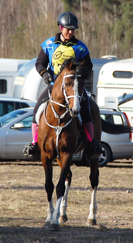 Dandini