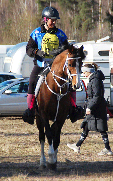 Dandini