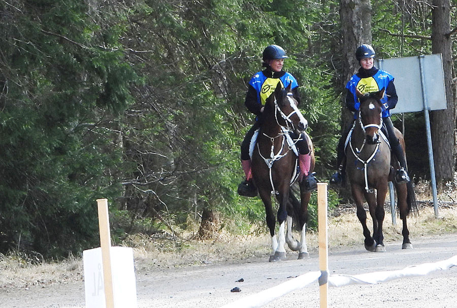 Dandini och Shaban