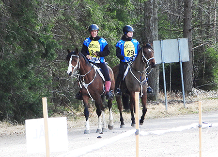 Dandini och Shaban