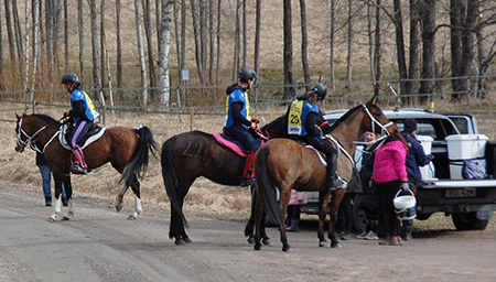 Dandini, TS Coyote och Shaban