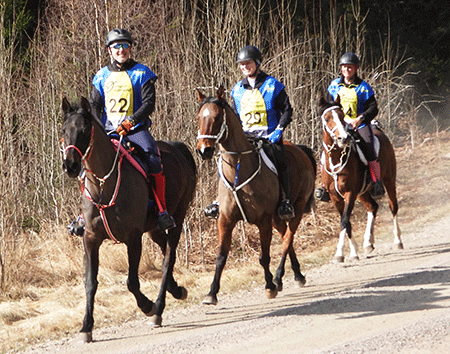 Dandini, TS Coyote och Shaban