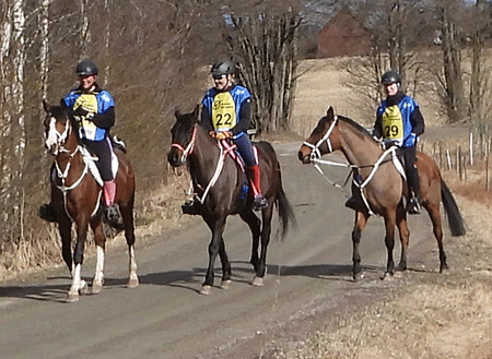 Dandini, TS Coyote och Shaban