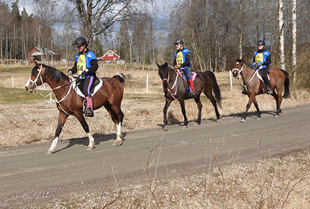 Dandini, TS Coyote och Shaban