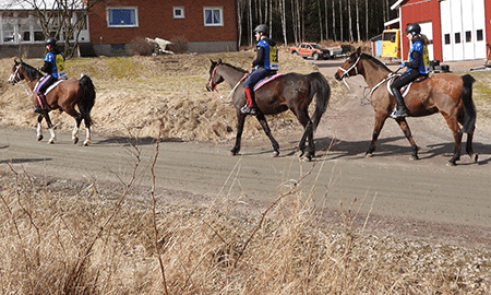 Dandini, TS Coyote och Shaban