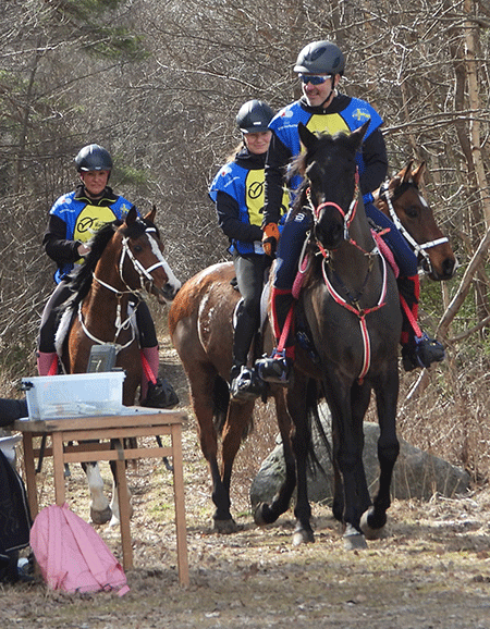 Dandini, TS Coyote och Shaban