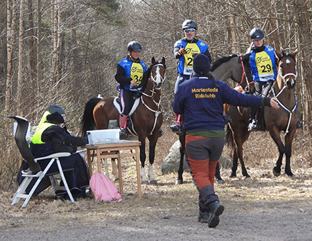 Dandini, TS Coyote och Shaban